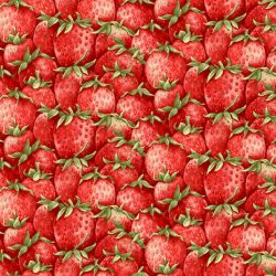 Strawberry Garden by Jane Shasky