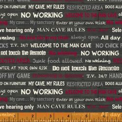 Man Cave by Rosemarie Lavin
