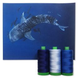Colour Builder | MK40 by Whale Shark | Blue