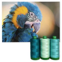 Colour Builder | MK40 by Blue-Throated Macaw | Teal