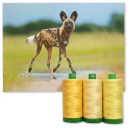 Colour Builder | MK40 by African Wild Dog | Yellow