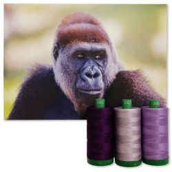 Colour Builder | MK40 by Cross River Gorilla | Purple