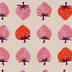 Strawberry & Friends by Kimberly Kight