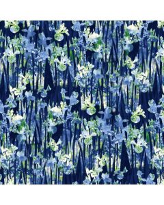 Water Lily Magic by Jan Mott