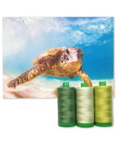 Colour Builder | MK40 by Sea Turtle | Green