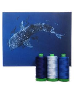 Colour Builder | MK40 by Whale Shark | Blue