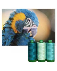 Colour Builder | MK40 by Blue-Throated Macaw | Teal