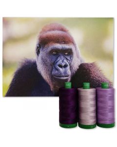 Colour Builder | MK40 by Cross River Gorilla | Purple